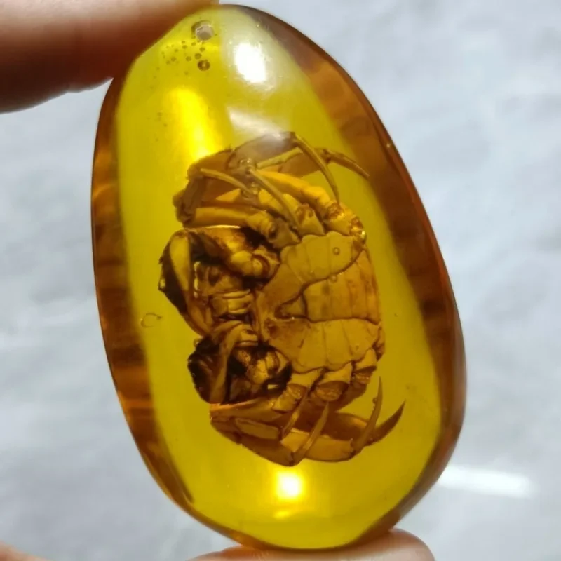 Real Crab Specimen Amber Pendant, Collectible Curio Hand Piece, Unique Statement Charm Jewelry for Men Women