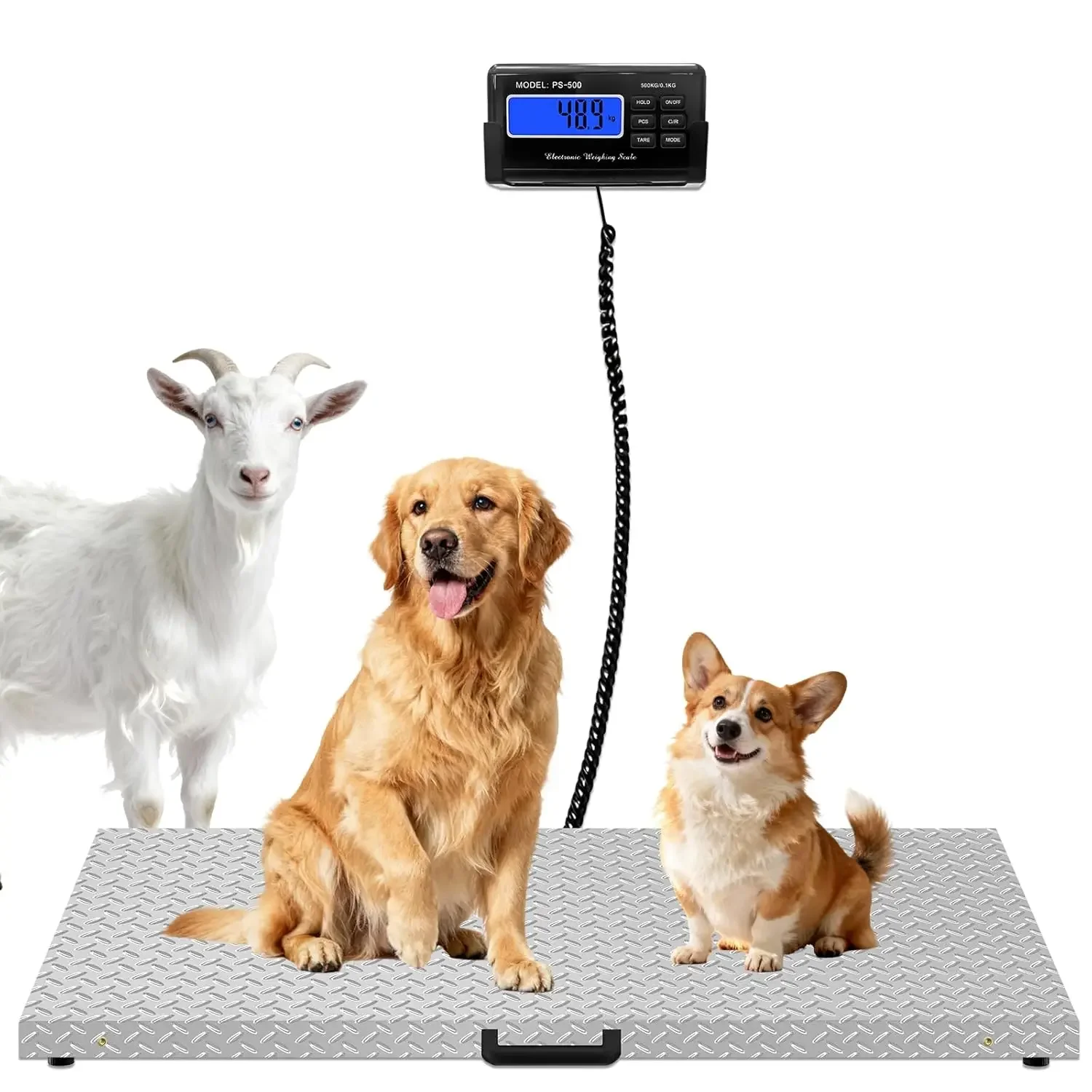 

Digital Livestock Scale Stainless Steel Non Slip Platform Shipping Scale For Large Pet Goat Pig Cattle Sheep