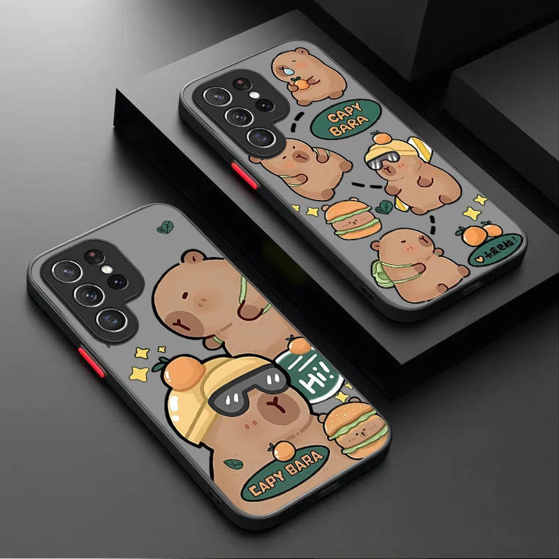 Anime Interesting C…