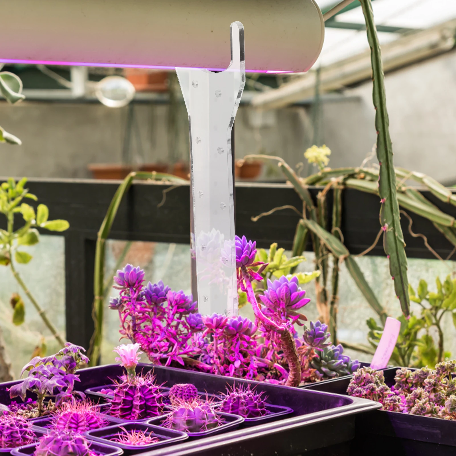 

1Pair Professional Growing Lamp Stand Clear Acrylic Material Indoor Plants Light Fixing Rack Solid Structure Plants Lamp Stand