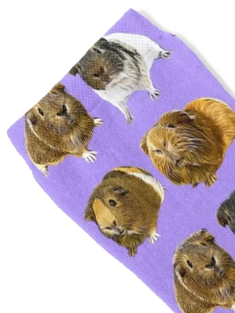 Guinea pig variety Socks anime football halloween Stockings man Socks For Man Women's