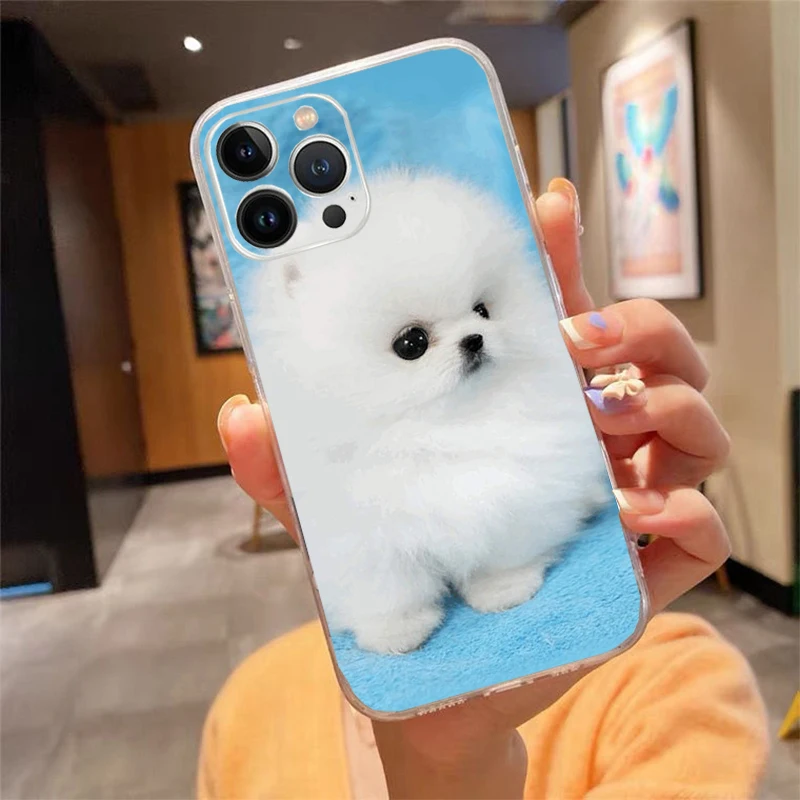 Phone Case For iphone 15 14 13 12 11 Pro Max XS Max XR X 12mini 14 Plus SE Pomeranian dogs dog Case Funda Capa Cell