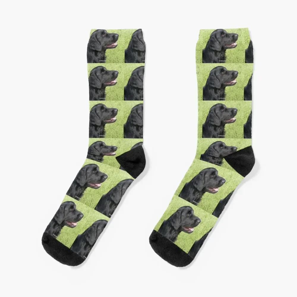 

Black Flat-Coated Retriever Socks ankle anime compression Crossfit Boy Socks Women's