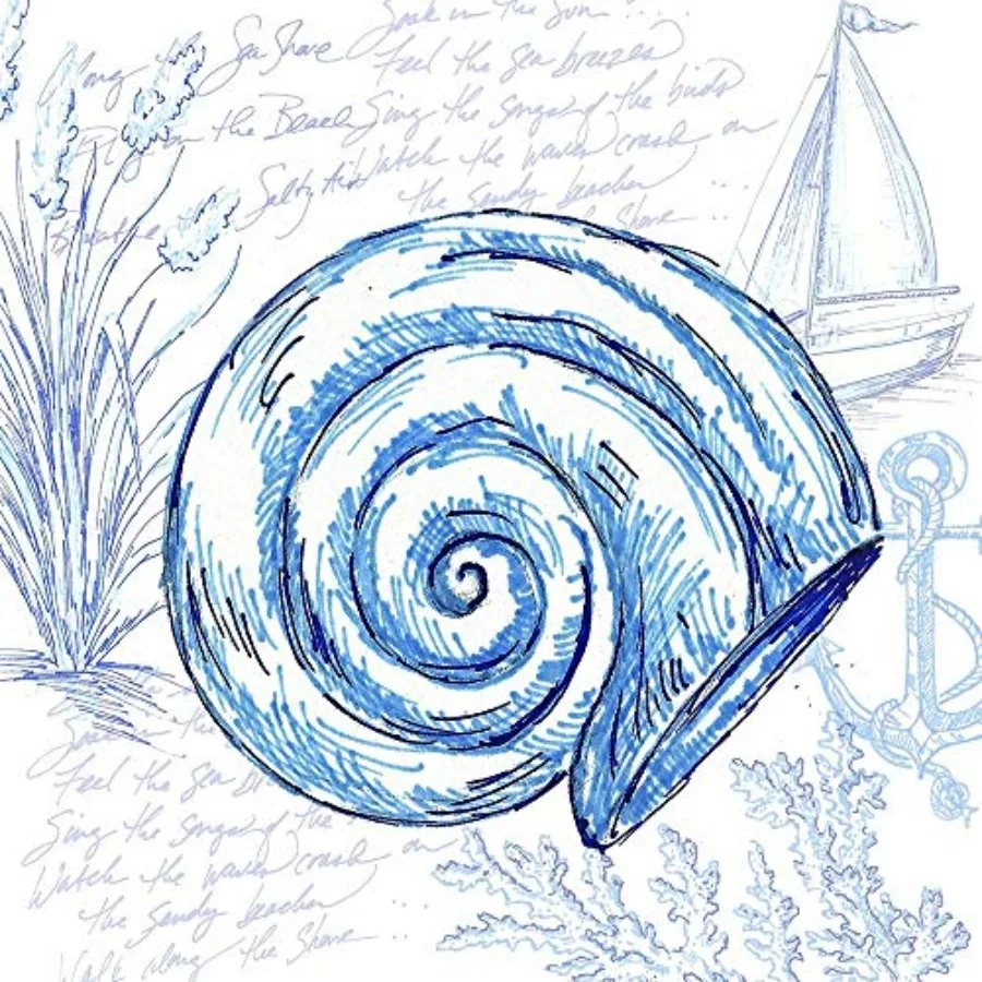 

Posterazzi PDXRB13849TSLARGE Coastal Sketchbook-Nautilus TRE Sorelle Studios, постер, 24 x 24 дюйма, разноцветный