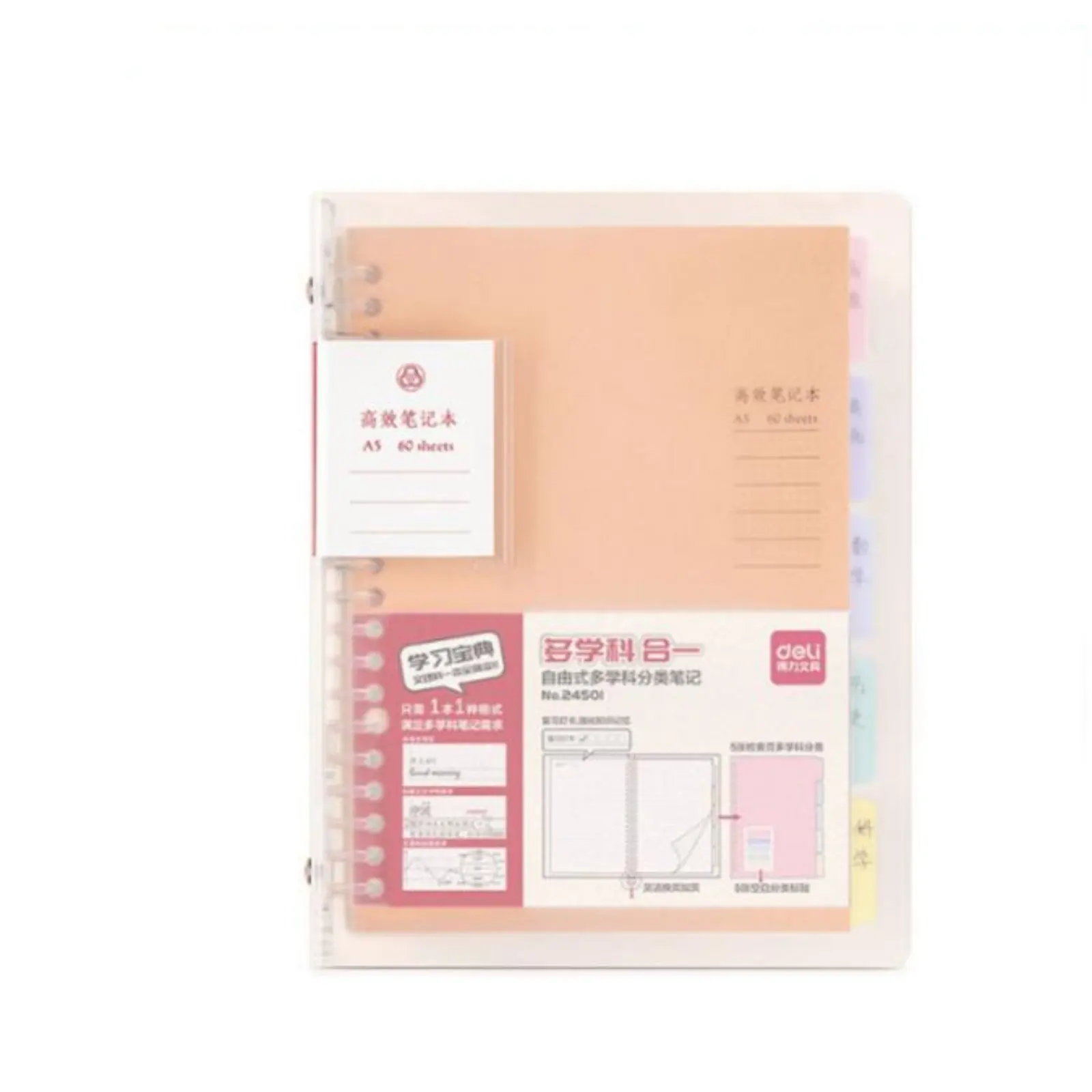 

Efficient Study Loose-Leaf Notebook, Letter Size, Exam Revision, Subject Organizer, Replaceable Refill
