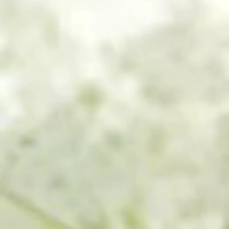 Double Wall 304 Sta…