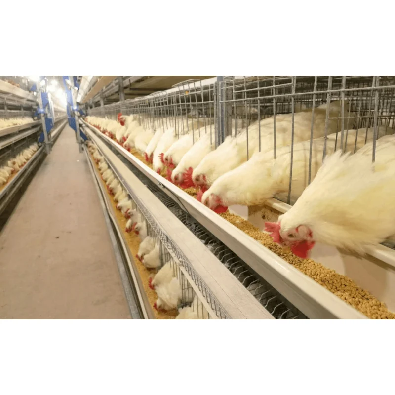 Прочная клетка для цыплят-бройлеров типа H, 4-уровневая клетка для цыплят-бройлеров, 4-уровневая клетка для цыплят-бройлеров, батарейная клетка для цыплят-фермысел