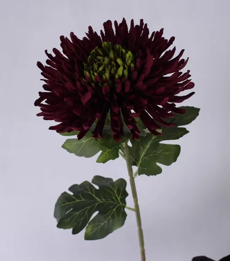 Dragon Claw Chrysanthemum Single Branch European Style Living Room Table Decoration High-end Decorative Flower Party Decoration