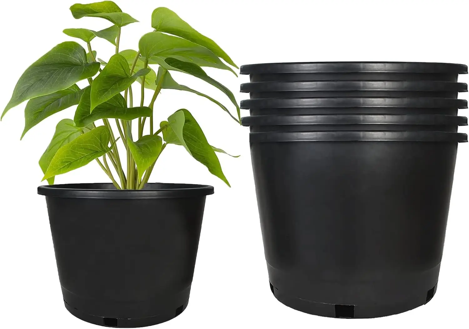 

5-Pack 10 Gallon Premium Black Nursery Pot Plant Container Garden Planter Pots (10 Gallon)
