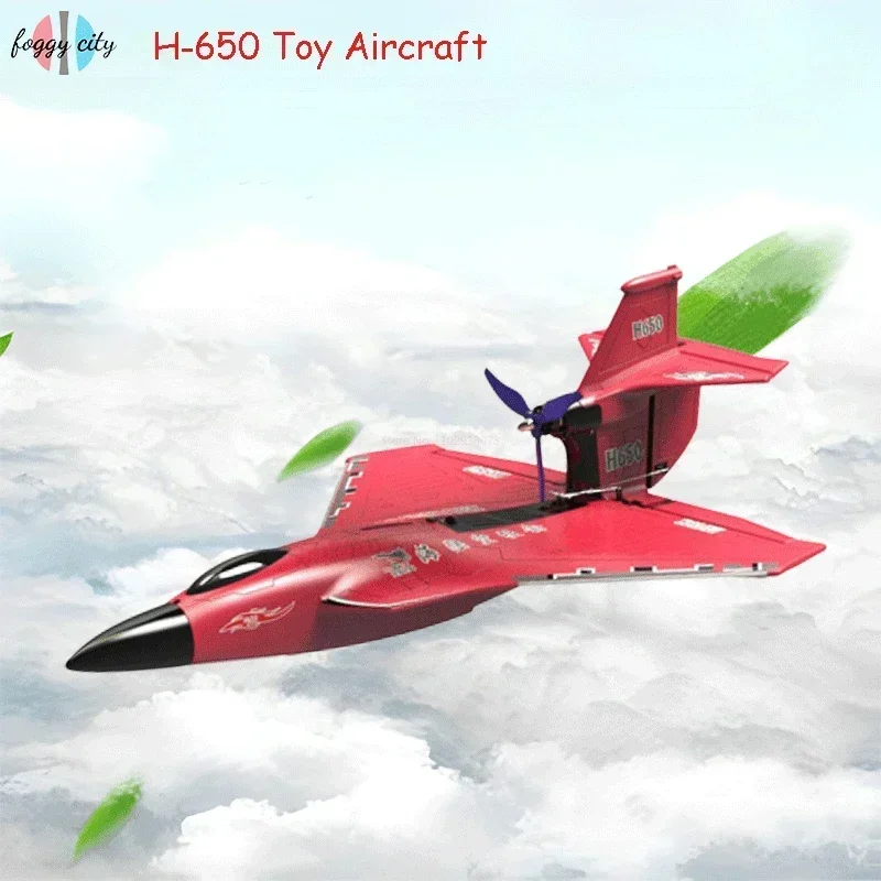 H650 Raptor amphibious foam waterproof aircraft fixed wing remote control electric aircraft model brushless motor outdoor toy