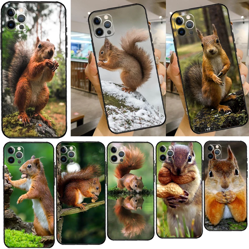 Squirrel Case For X… - image