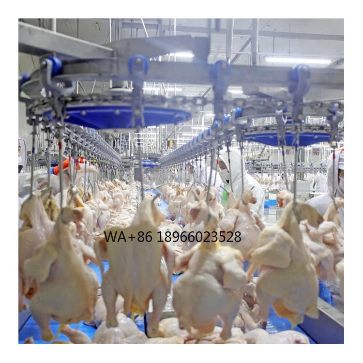 Equipo de aves de corral de línea de abate de pollo compacto de corte y abate Halal completamente automático