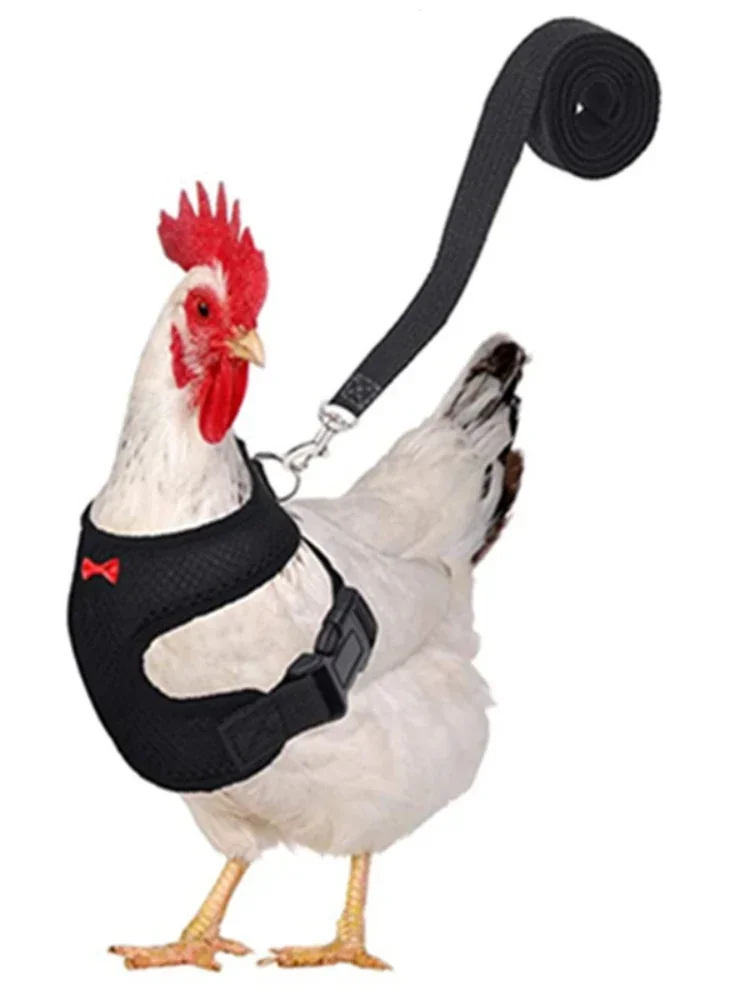 Pet Adjustable Harness Leash for Chicken Puppy Comfortable Breathable Pet Vest for Small Dogs Duck Goose Training Accessories