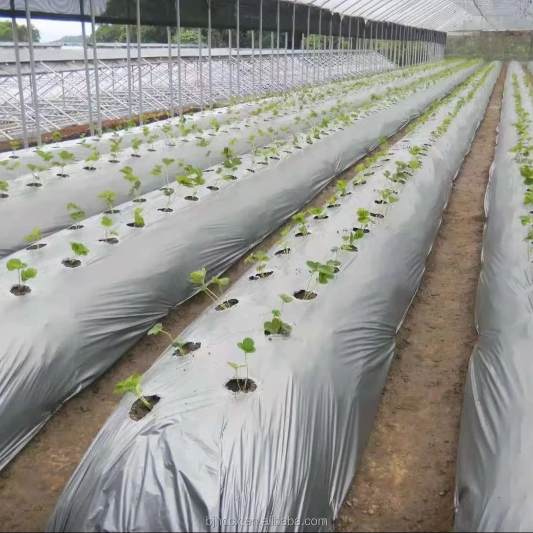 

2025Dual-Color Silver & Black Agricultural Plastic Film High Quality Plastic Products for Agriculture