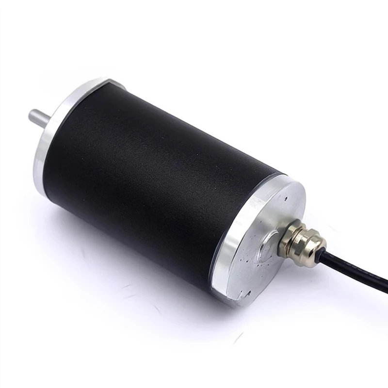 ZFY4578 Dustproof And Splashproof Waterproof Motor Brushed Permanent Magnet Forward And Reverse Motor Underwater Motor DC12V 24V