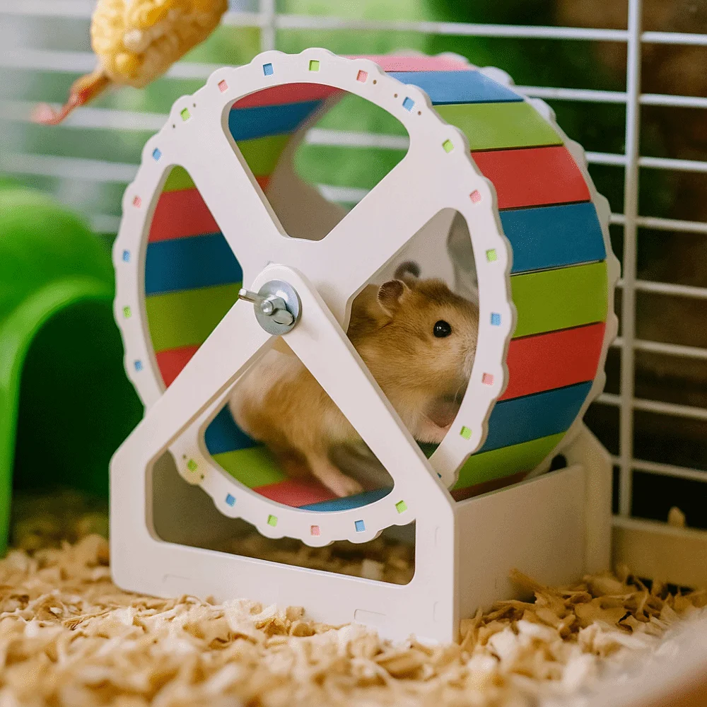 Plastic Hamster Running Wheel Stable Base Silent Pet Hamster Bracket Colorful 21cm Rodent Running Wheel for Small Animals