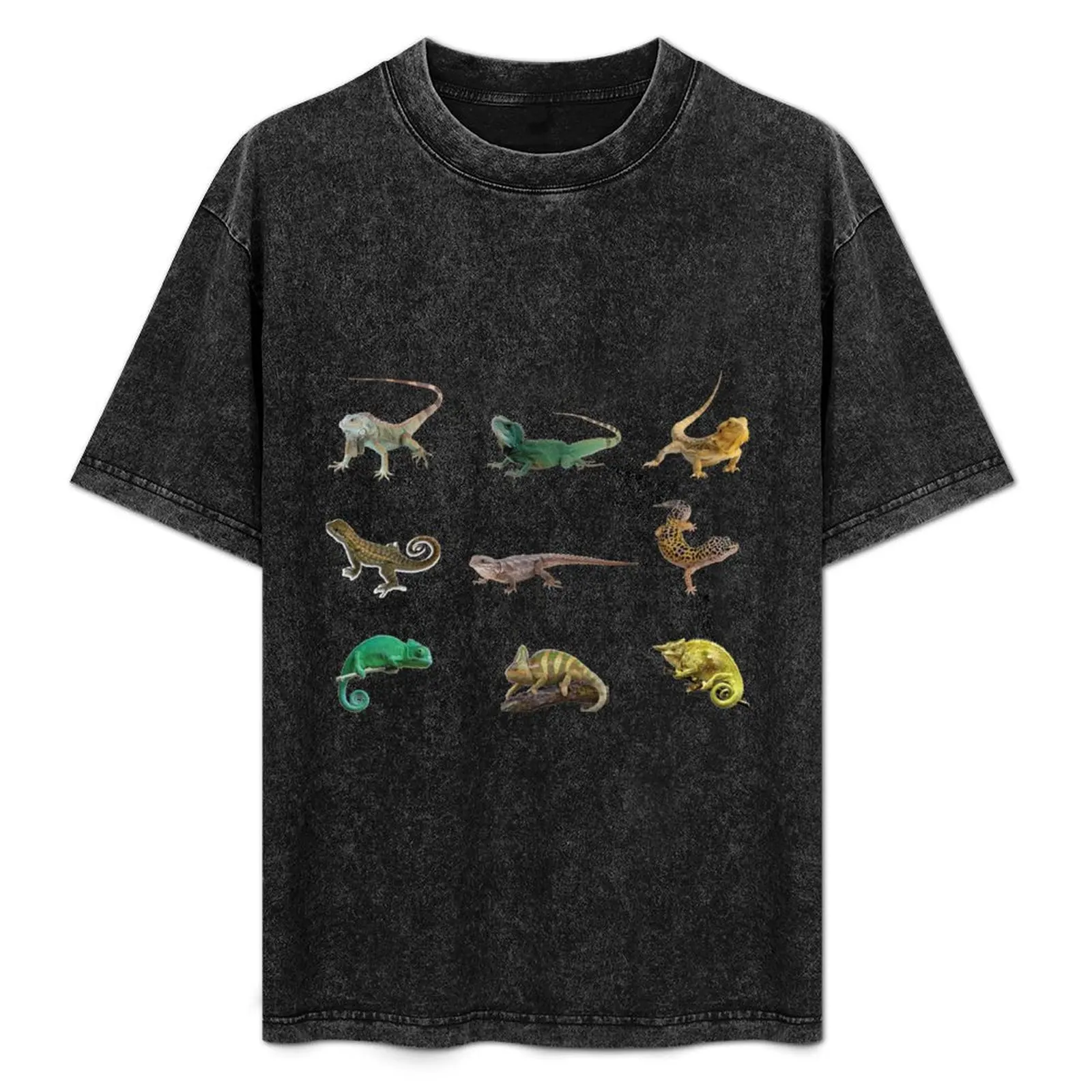 

Lizards Various Reptiles Chameleon Gecko Bearded Dragon T-Shirt Big Size Short Sleeve Casual Top