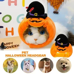 Funny Cat Cap Pumpkin Plush Head Cover Cute Cat Dog Warm Headdress Pet Hat Kitten Puppy Halloween Cosplay Costume Accessories