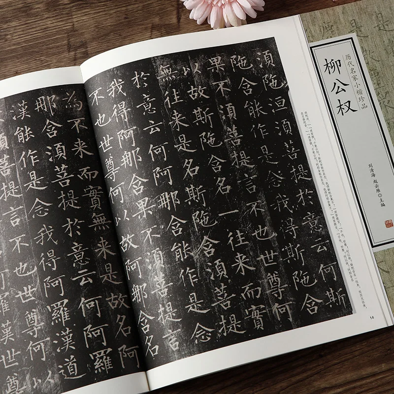 Calligraphy Copybook Small Regular Script Diamond Sutra Brush Calligraphy Practice Calligraphy Rubbing This Copybook