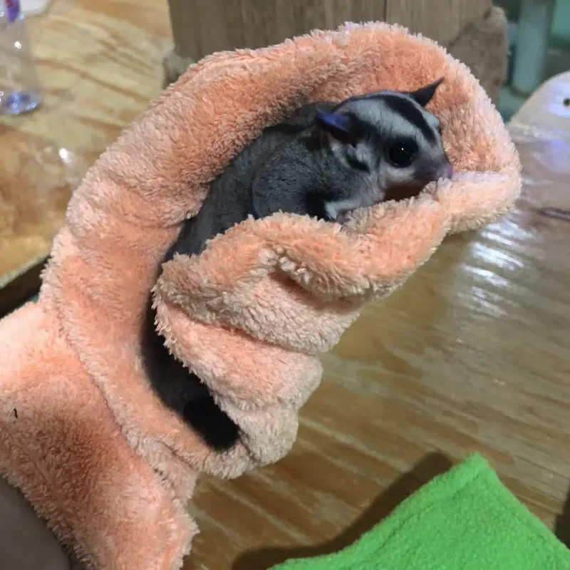 Small Pets Calming Sleeping Fleece Fabric Gloves Anti Bite Anti Scratch Handling Gloves for Sugar Gliders Hamsters  Guinea Pigs