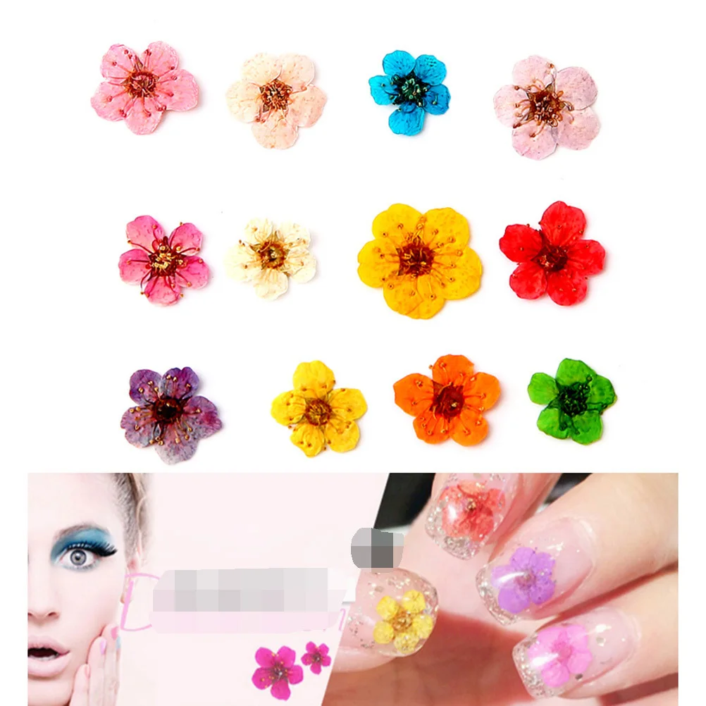말린 꽃 예술 장식 혼합 색상 네일 디자인을 위한 미니 꽃 휴대용 매니큐어 액세서리 3D 네일 아트