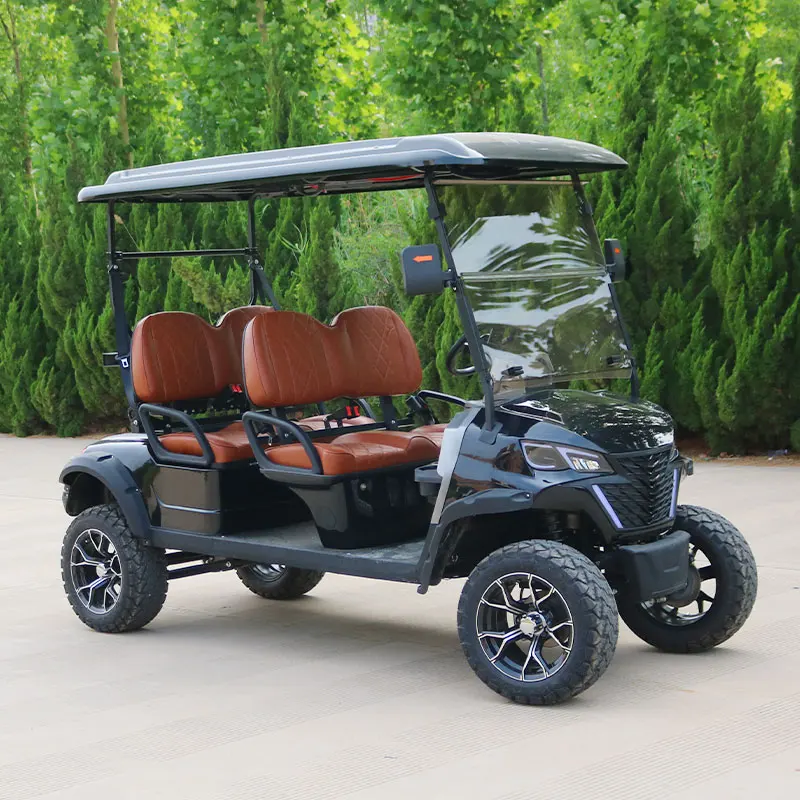 Electric Golf Scooter Golf Cart with Curtis Controller Electric Golf Cart