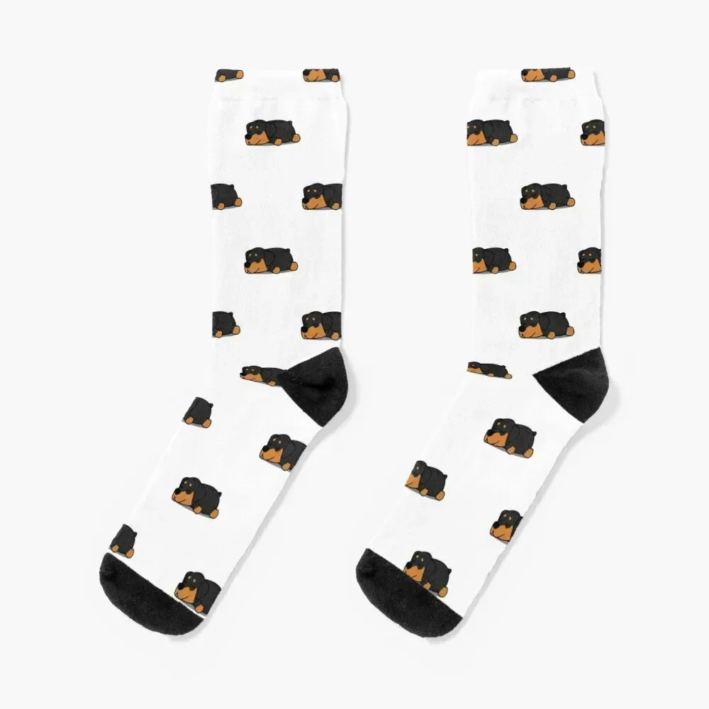 

Rottweiler Dog Pattern Socks Run floor kids colored Socks For Man Women's