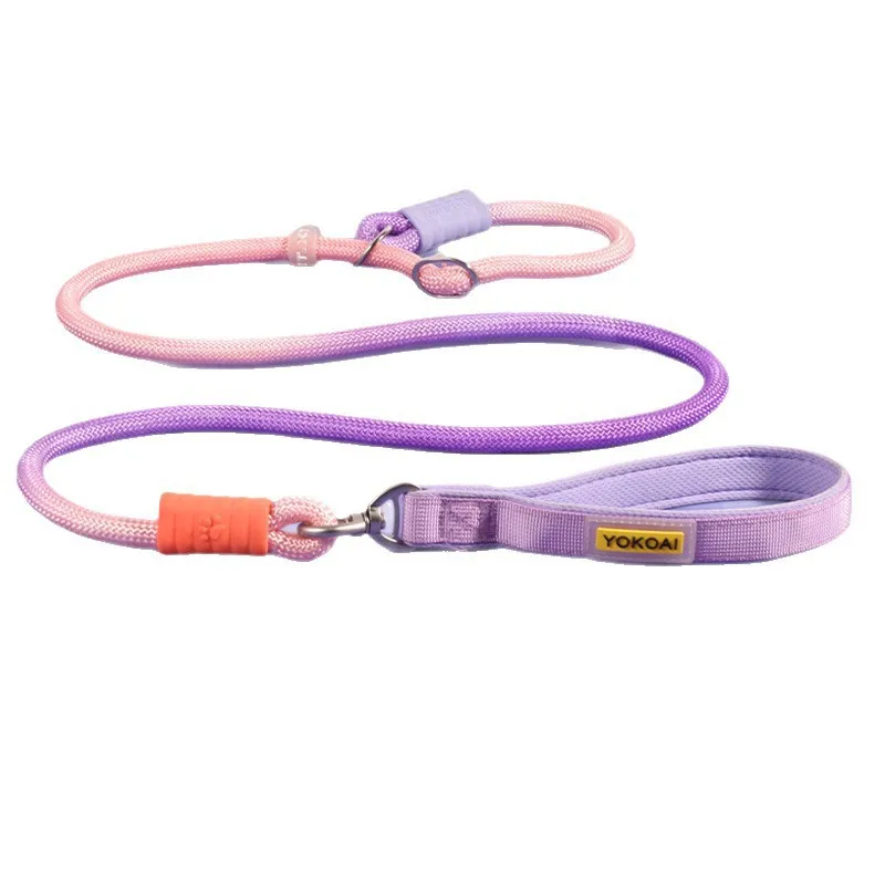 New Hot Selling Dog Slip Lead Anti-Tangle Pet Leash Anti-Pulling Dog Rope Chain for Medium Large Dogs