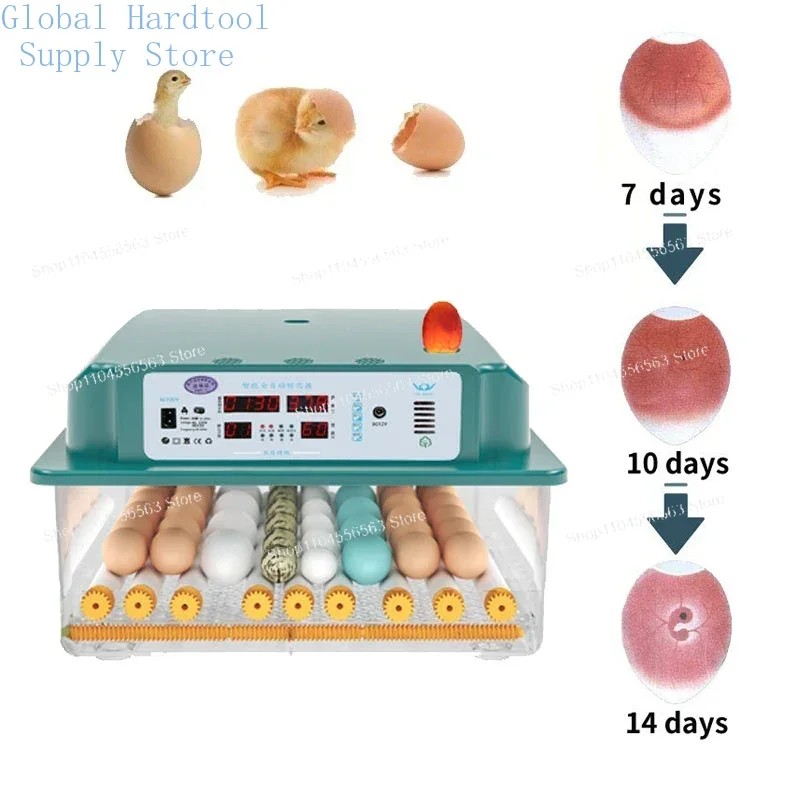 16/36 Eggs Fully Automatic Incubator - Brooder with Turner for Chicken, Goose & Quail Eggs (Household/Farm Use) view 4