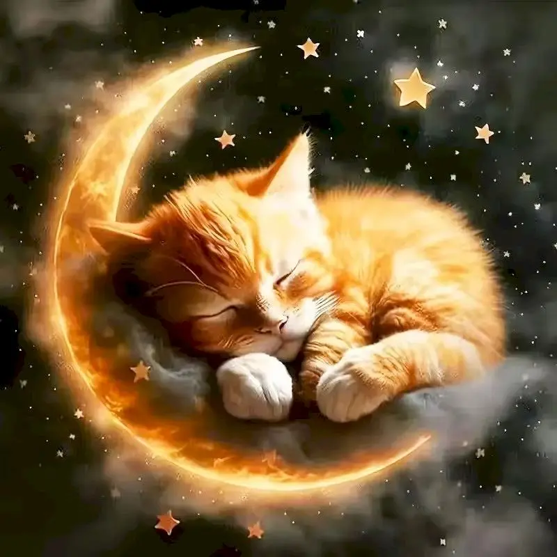 

GATYZTORY 5D DIY Diamond Painting Animal Cat Full Square Round Diamond Mosaic Flower Daisy Art Picture of Rhinestones