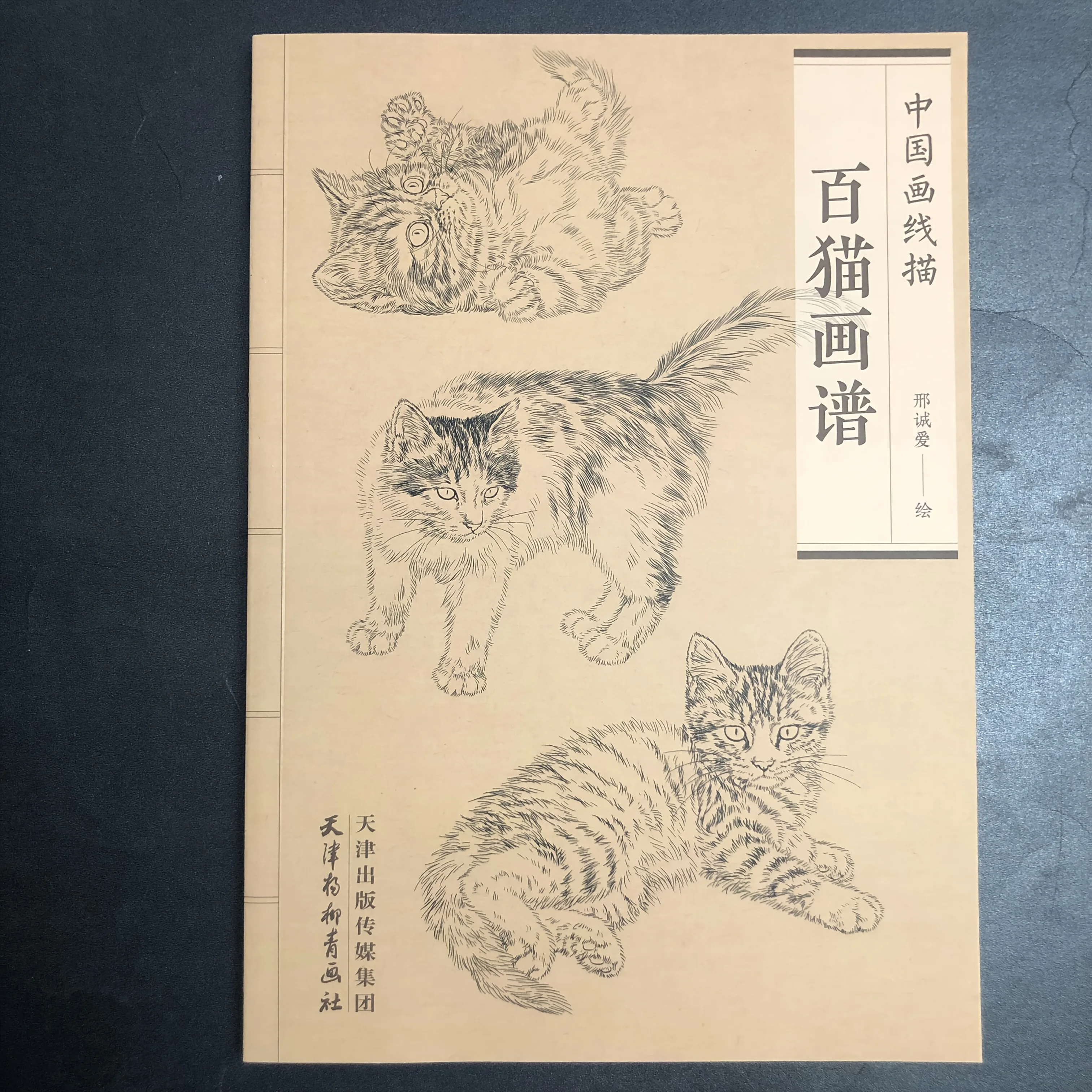Coloring Book for Adults and Teens Featuring  with Easy and Simple Designs for Relaxation Chinese painting sketch