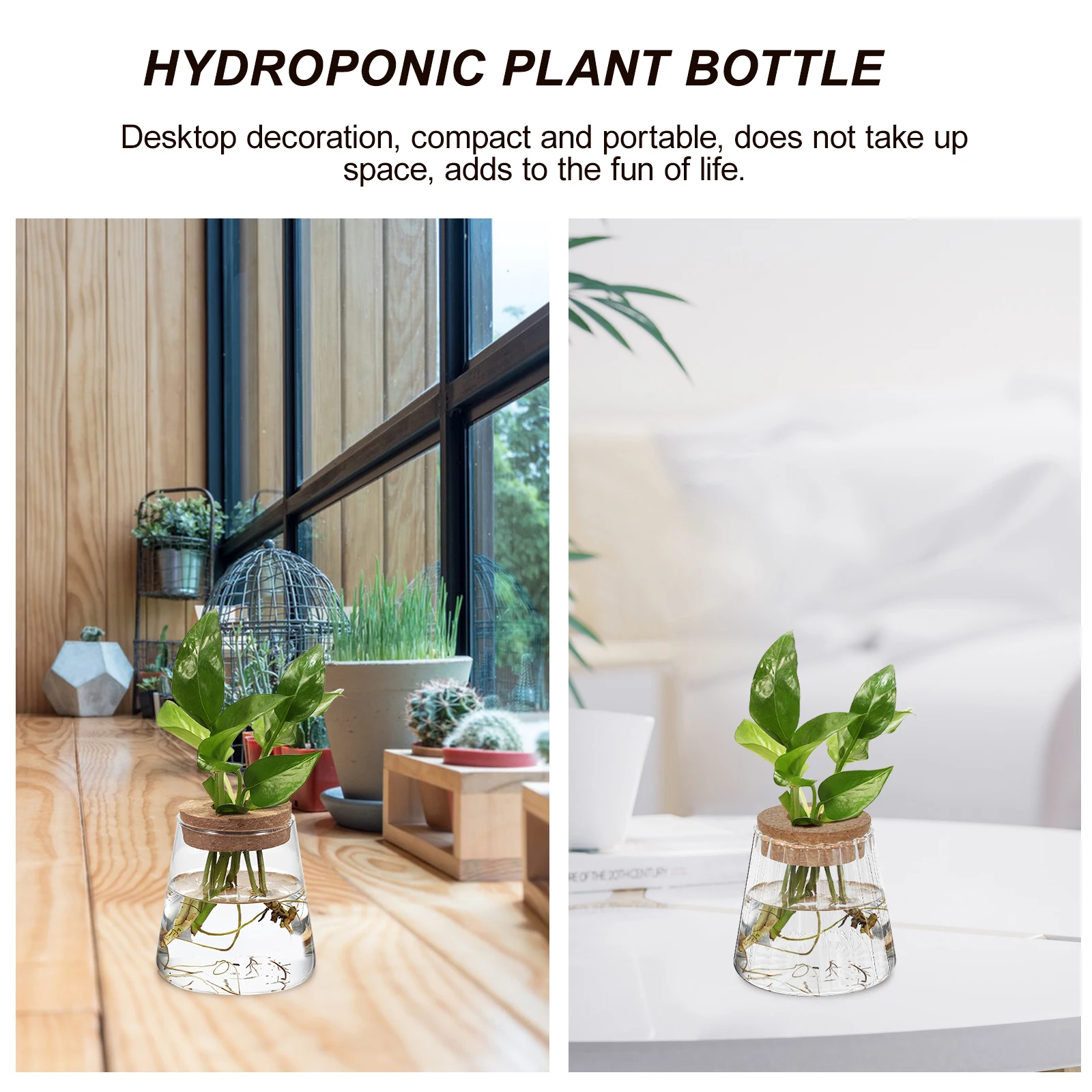 3 قطعة المزهريات انتشار المياه الزجاج الشفاف برطمانات النباتات للبستنة الداخلية سطح المكتب زارع المائية زهرية تررم صغير