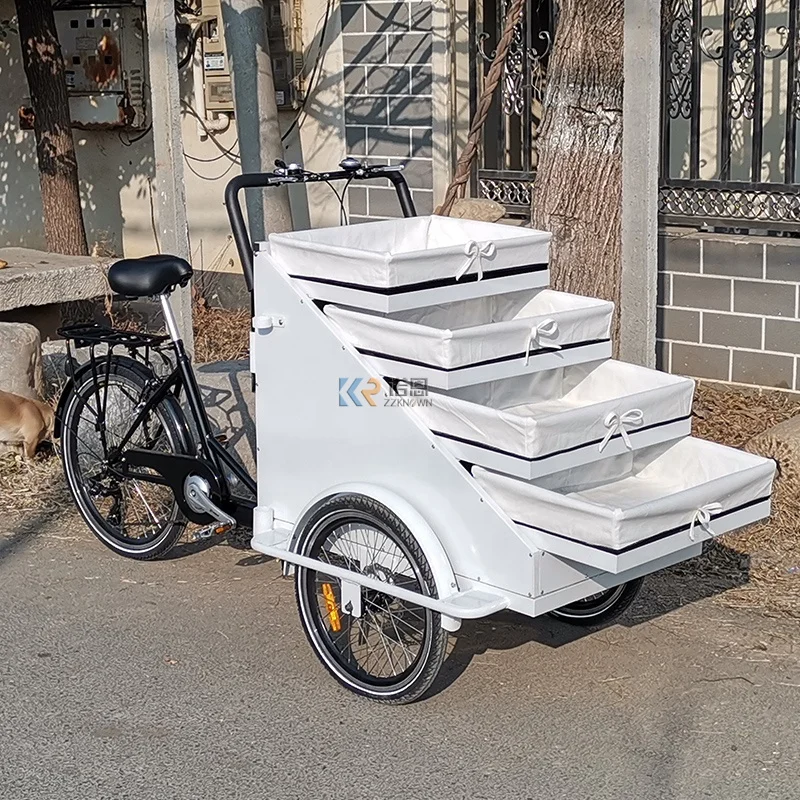 OEM Fruit Vending Cart Food Bike Electric Street Popular Seller Mobile Shop Snacks Park Kiosk Push Tricycle for Sales