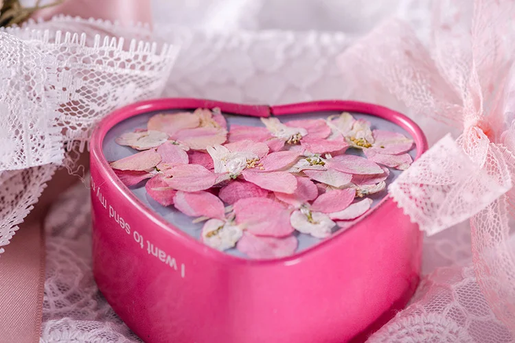 100 шт. цветов в стиле «гусина – обзор и цена Dried Flower Pressed