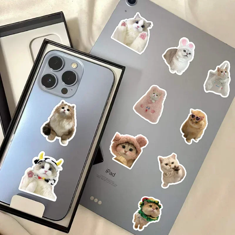 60 vel Kawaii Cat Sticker Real Shot Mooie Kitten Sticker DIY Briefpapier Decoratieve Scrapbook Telefoon Sticker Student Supplies