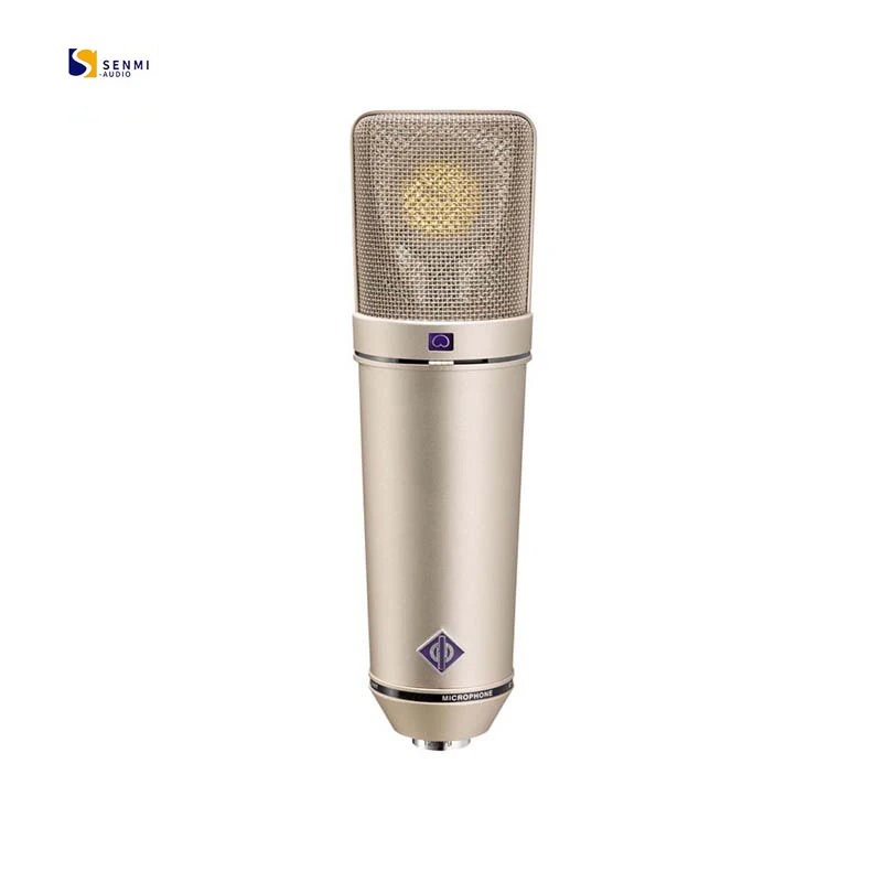 

Manufacture Recording Studio Equipment Large Diaphragm Mic 48V Condenser Microphone