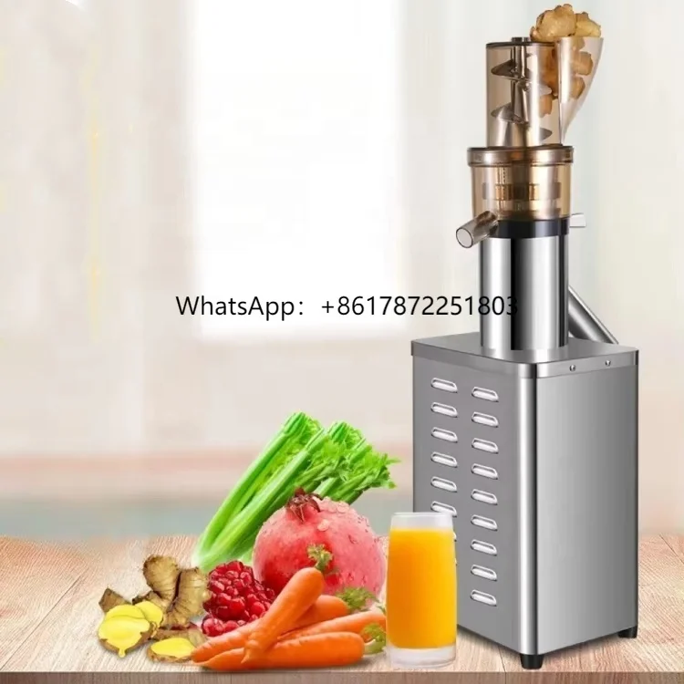

1200w Professional Juicer Extractor Machine with Cold Press Juicer High Juice Yield Slow Juicer Stainless Steel