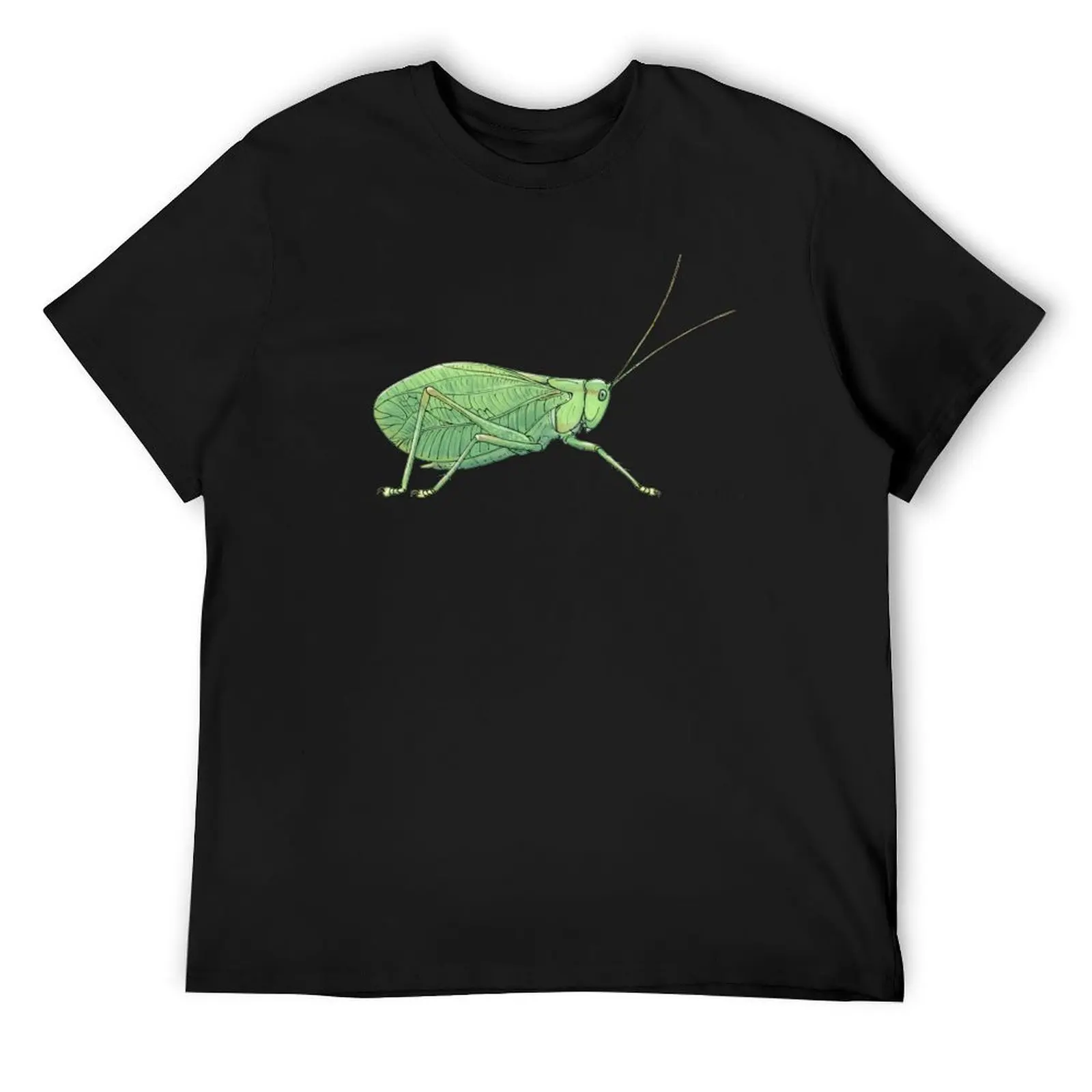 Permotettigonia gallica T-Shirt man t shirt basketball graphic tees men clothings