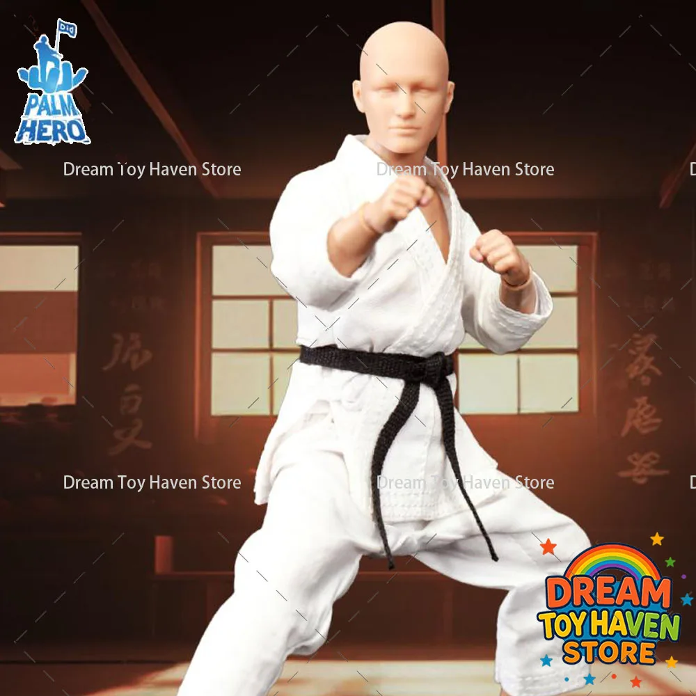

DID SF80001 1/12 Scale Male Soldier Karate Master Samura Full Set Palm Pocket Series 6Inch Action Figure Model Toys