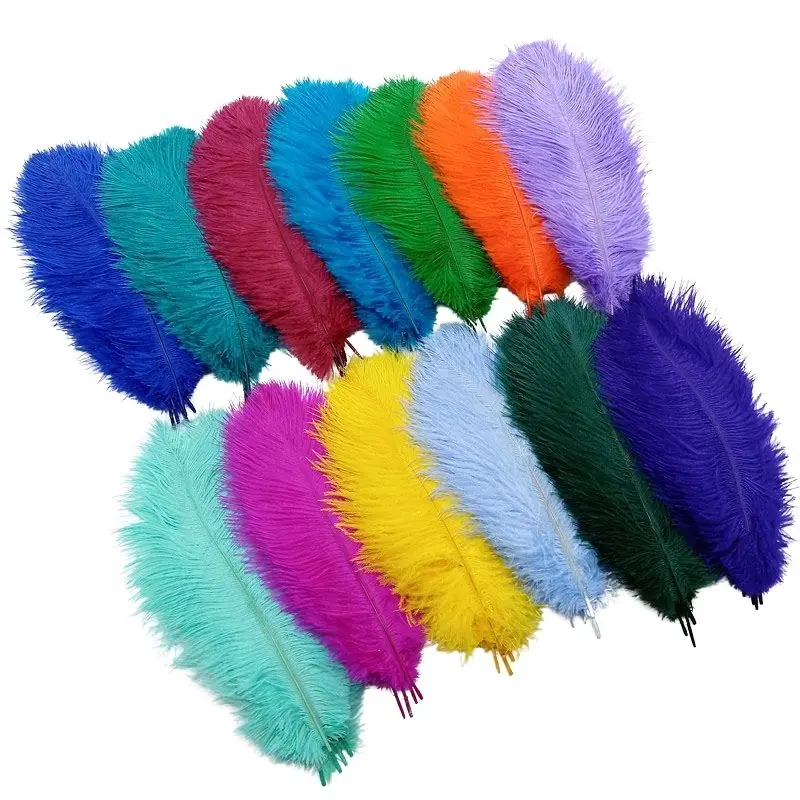 10Pcs Ostrich Feathers Decorative Vase Pluma Wedding Table Centerpieces Carnival Accessories DIY Creative Leisure Craft Supplies