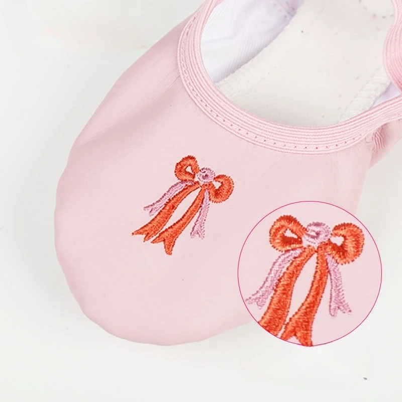 New Embroidered Ballet Shoes Soft Sole Dance Shoes for Adults Modern Latin Training