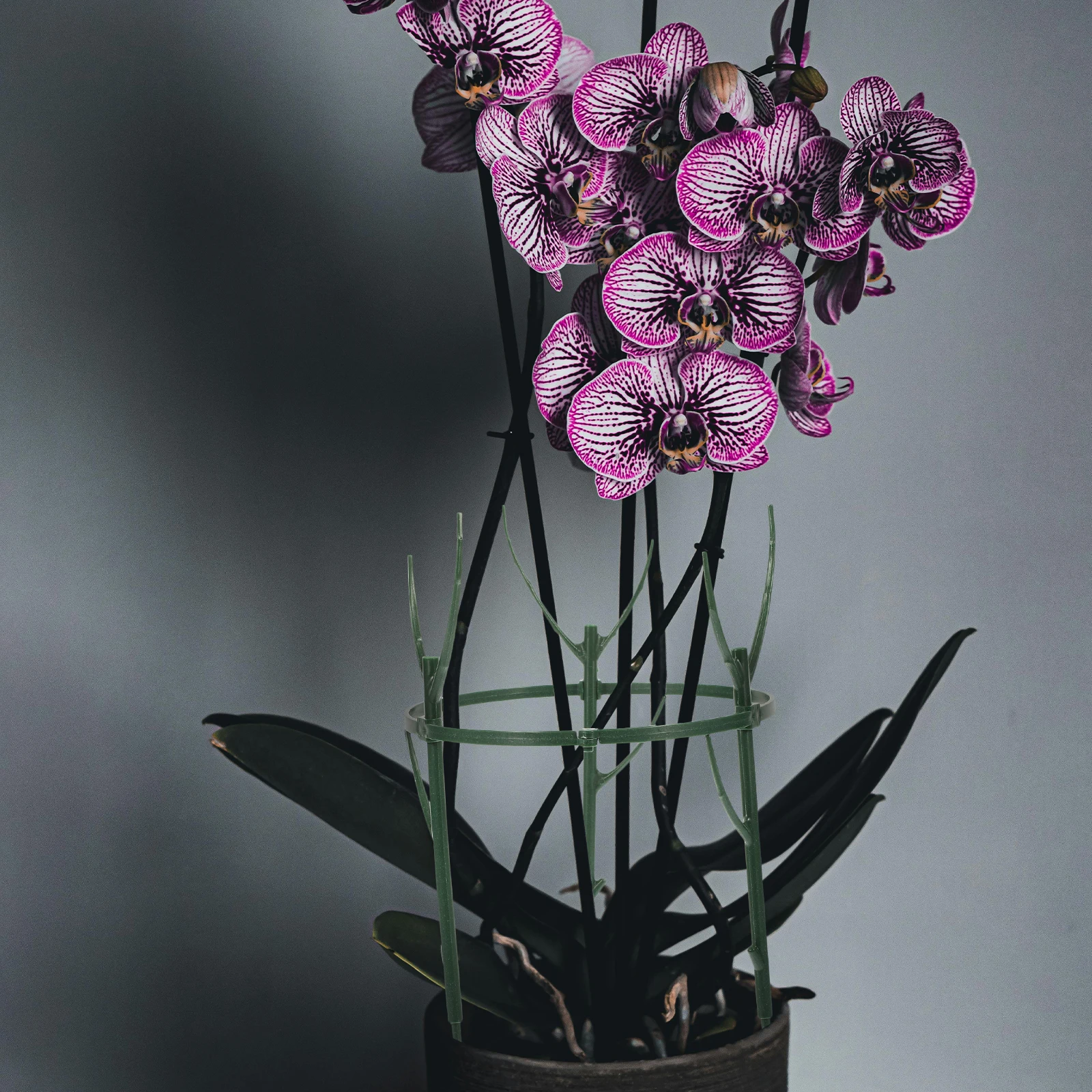 رف دعم قابل للتكديس على شكل غصين نباتي قابل للفصل للنباتات الداخلية والخارجية ومستلزمات الحدائق ودعم النباتات