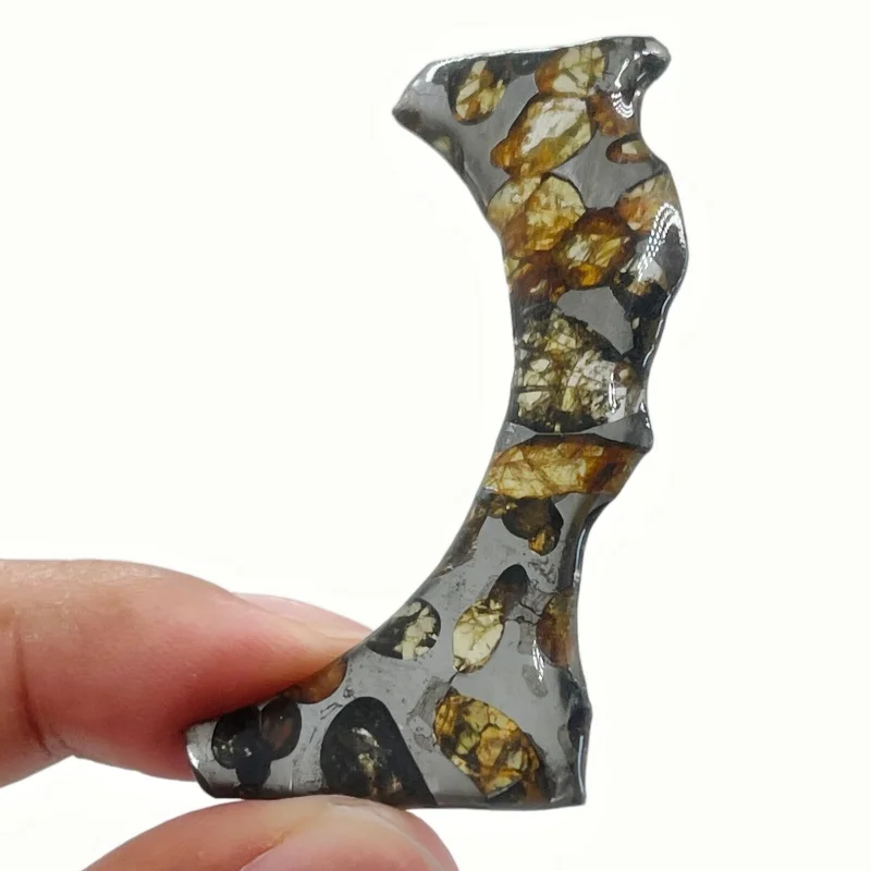 Seymchan Pallasite Meteorite Polished Special Curved Slice Natural Olivine Inclusion Space Rock Display Specimen CA110