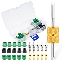Kit d'outils de réparation de noyau de Valve AC, joint de tuyau cvc, 60 joints de tuyau, 20 noyaux de Valve, 20 dé à coudre et 1 outil de retrait de noyau de Valve, 101 pièces 2