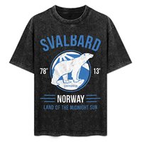 Svalbard Polar Bear - Midnight Sun in Norway T-Shirt custom t shirt anime graphics funny t shirts men