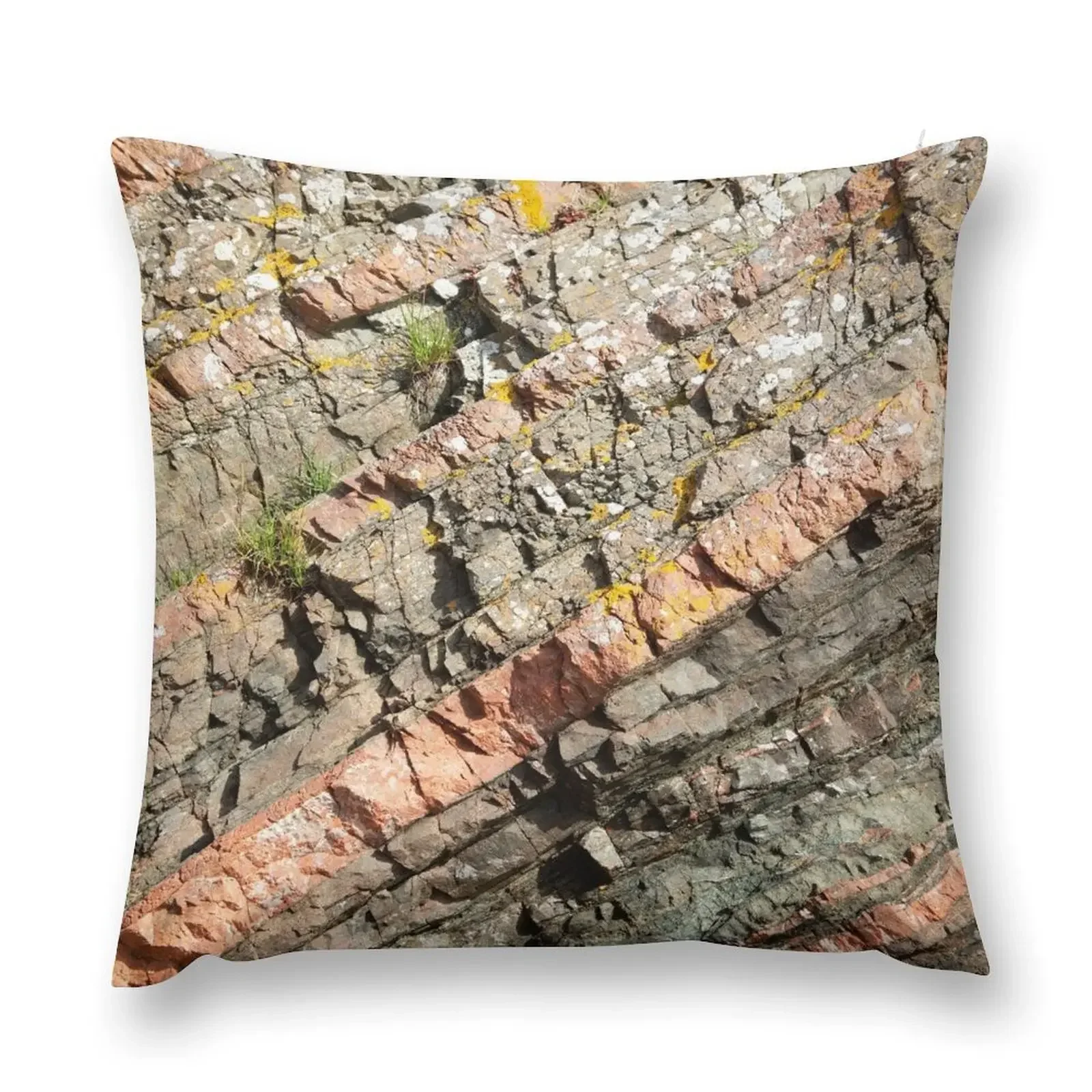 A slice of geology Throw Pillow christmas decorations 2025 Christmas Covers For Cushions pillow