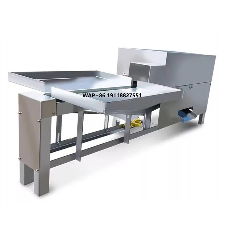 

Automatic Small Fish Cleaning Machine Anchovy Fish Killer Machine Tilapia Gutting Machine