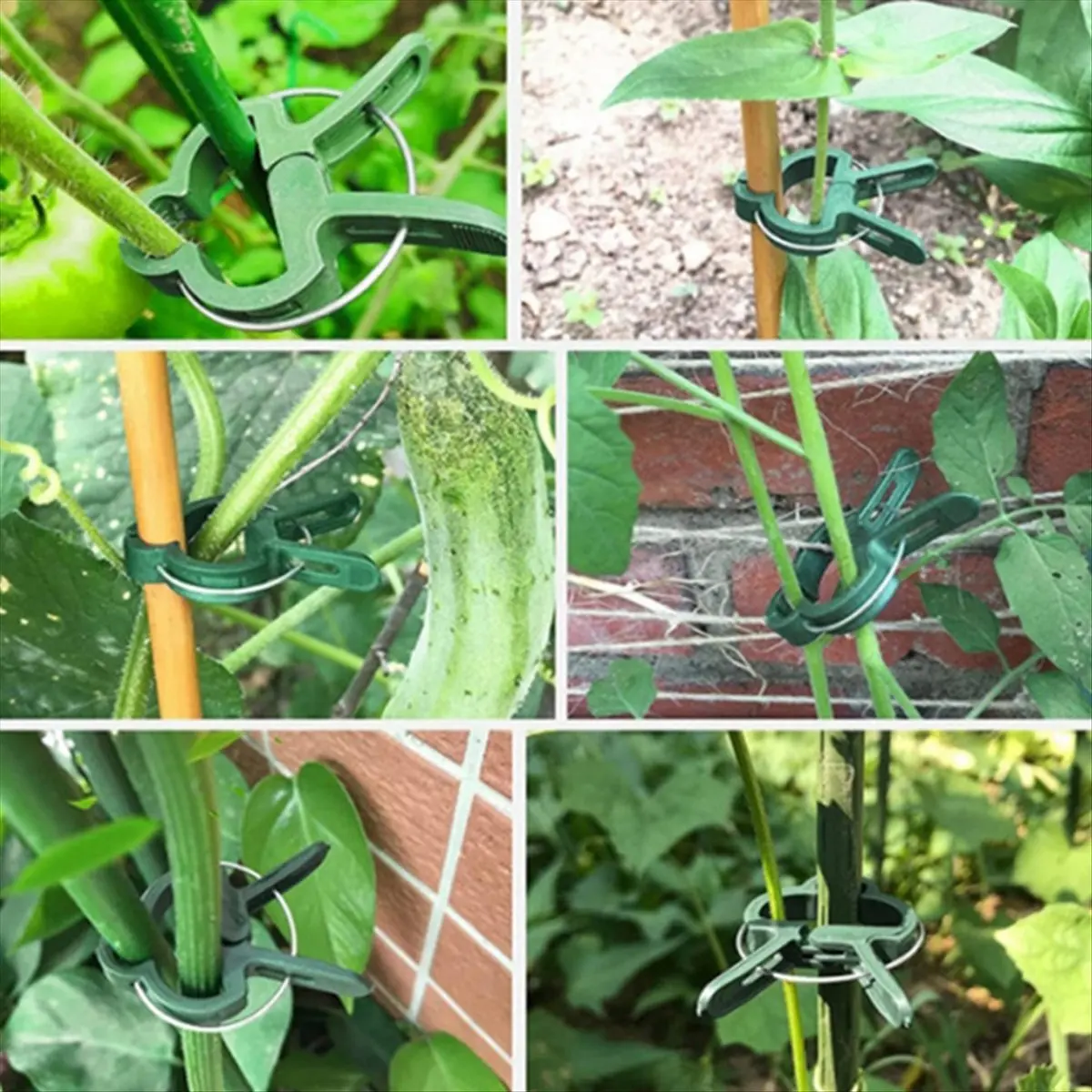 Plant Support Clips…