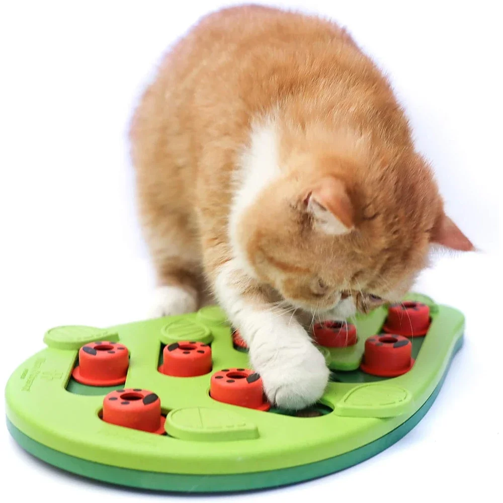 Rainy Day Puzzle & Play - Interactive Cat Treat Puzzle Cat Toys Leaks Food Cat Scratch Board