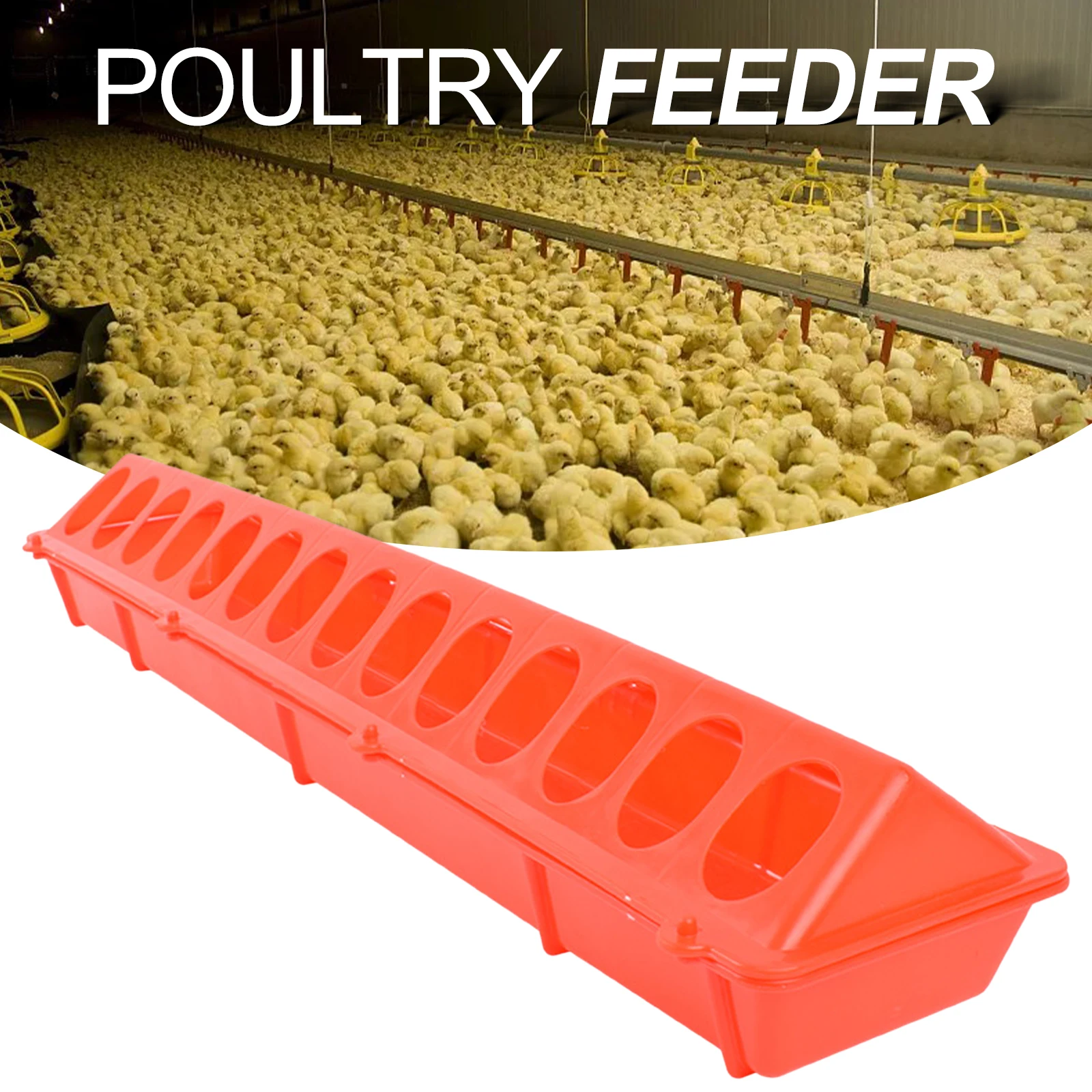 Plastic Poultry Feeder for Birds, Long Trough Food Dispenser, Waterer Water Bowl, Livestock Cockatiels, Budgies, Peacock